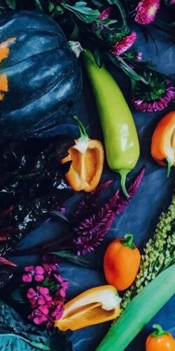 ella-olsson-1094090-unsplash