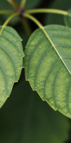 image_2026-01-29_154652340